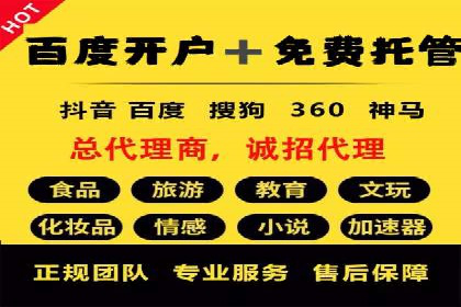 SEM公司案例研究：数据驱动营销策略
